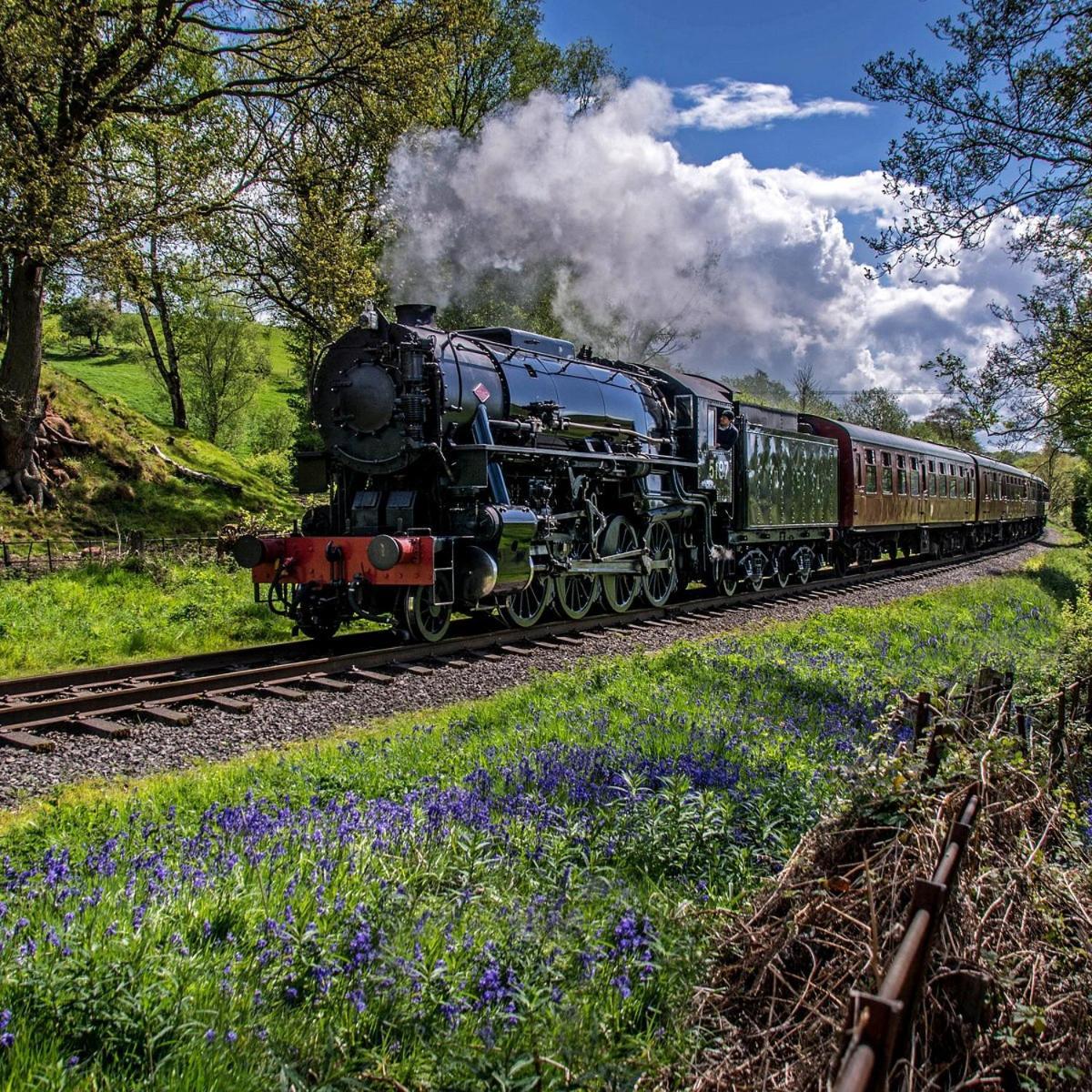 Дом отдыха Character 3 Bed Peak District Near Alton Towers, Polar Bears, Chatsworth House Чедл