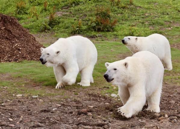Character 3 Bed Peak District Near Alton Towers, Polar Bears, Chatsworth House * Чедл